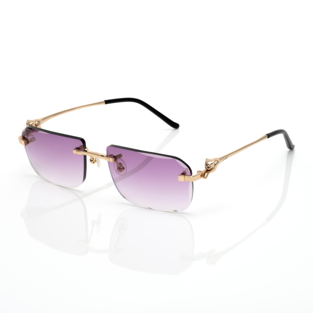Lunettes Carré — Métal Argenté & Verres Parme