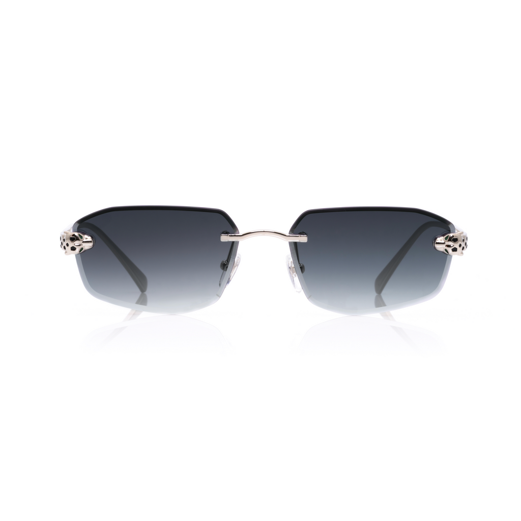 Lunettes Rectangle — Métal Argenté & Verres Anthracite · II
