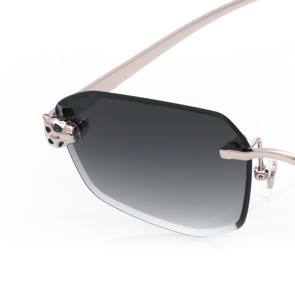 Lunettes Rectangle — Métal Argenté & Verres Anthracite · II