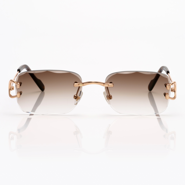 Lunettes Rectangle — Métal Argenté & Verres Fumés