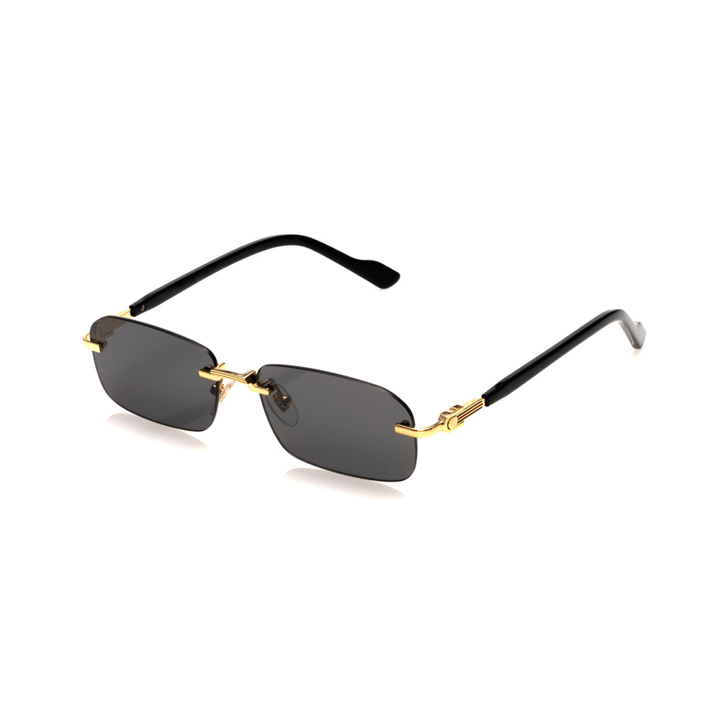 Lunettes Rectangle — Métal Doré & Branches Écaille