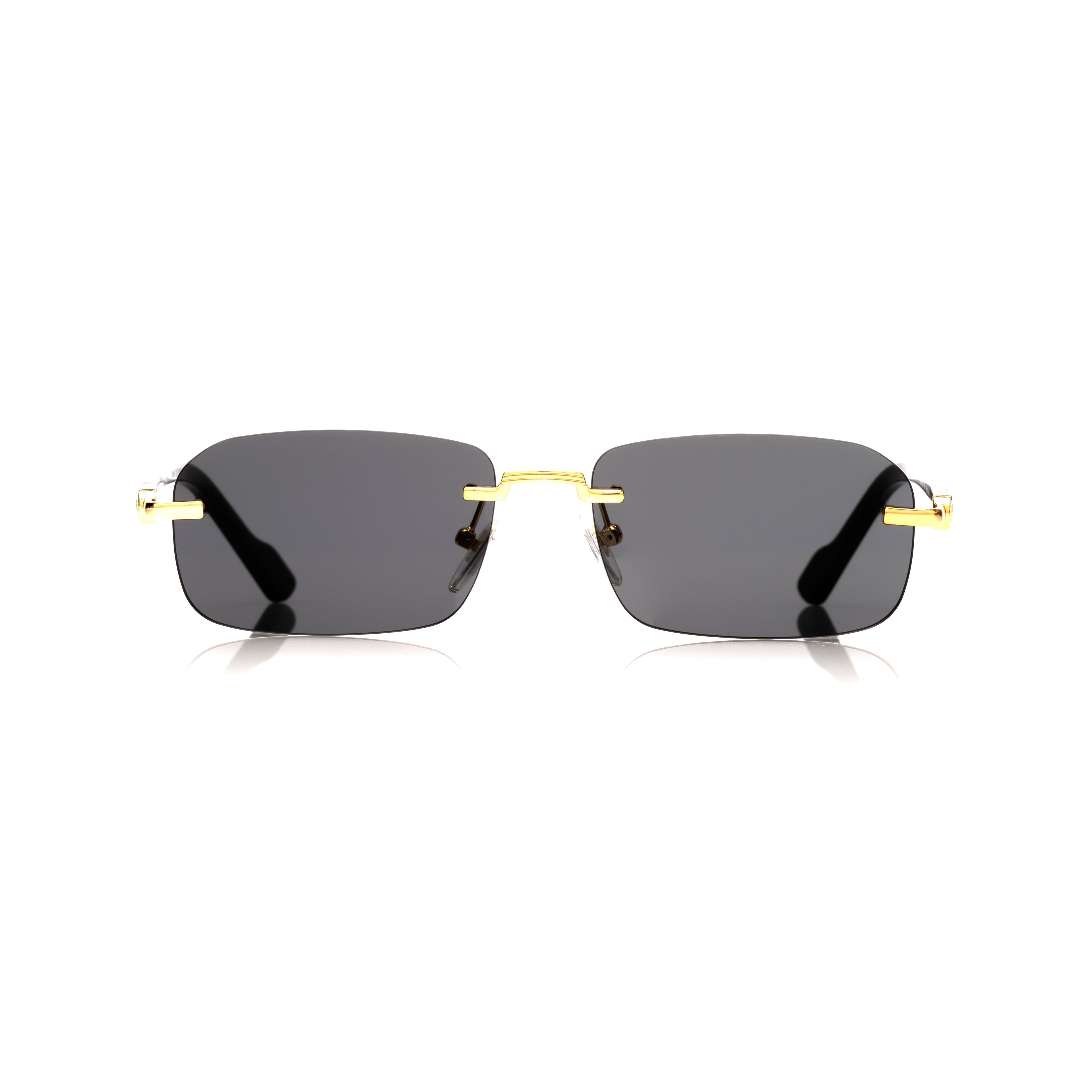 Lunettes Rectangle — Métal Doré & Branches Écaille