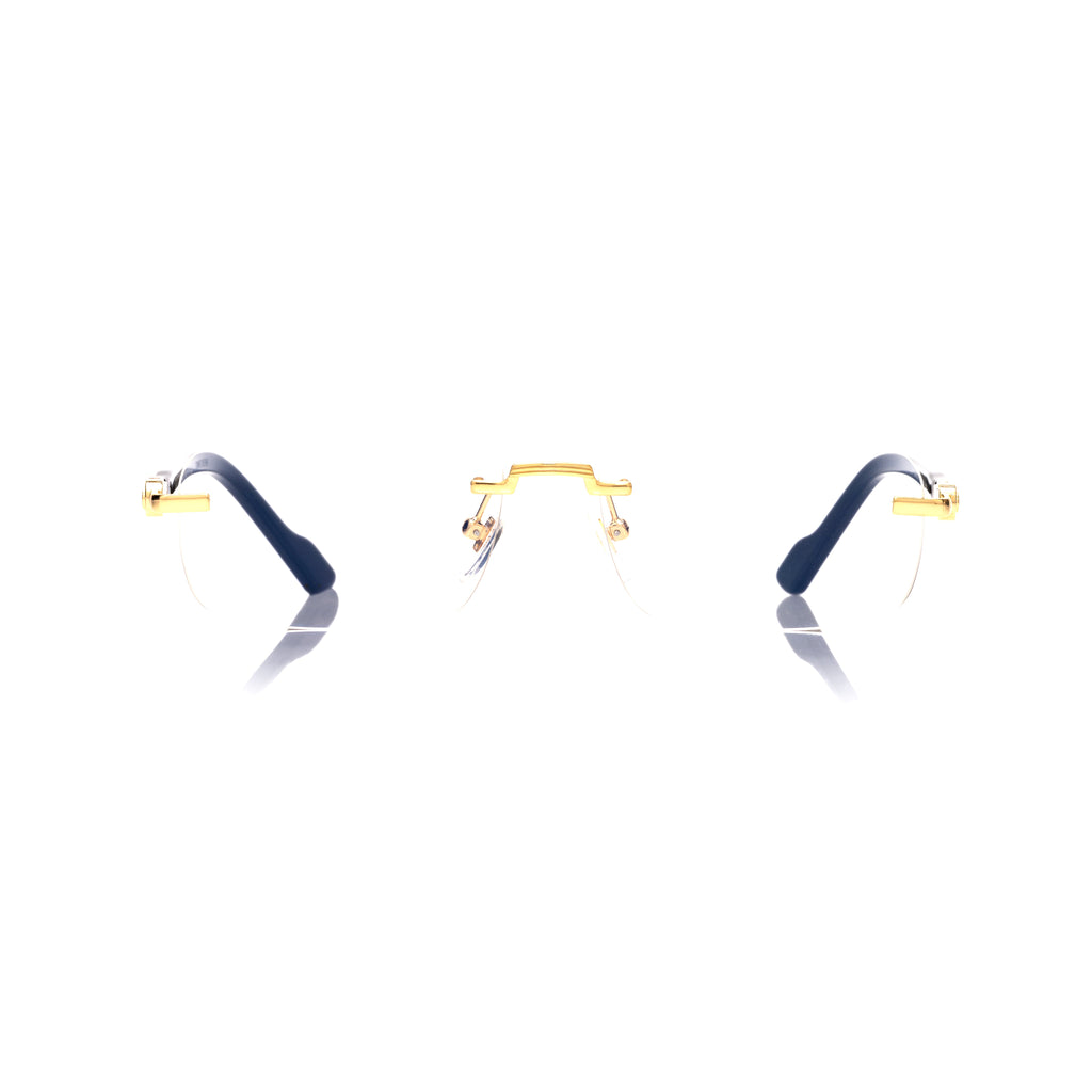 Lunettes Rectangle — Métal Doré & Branches Écaille