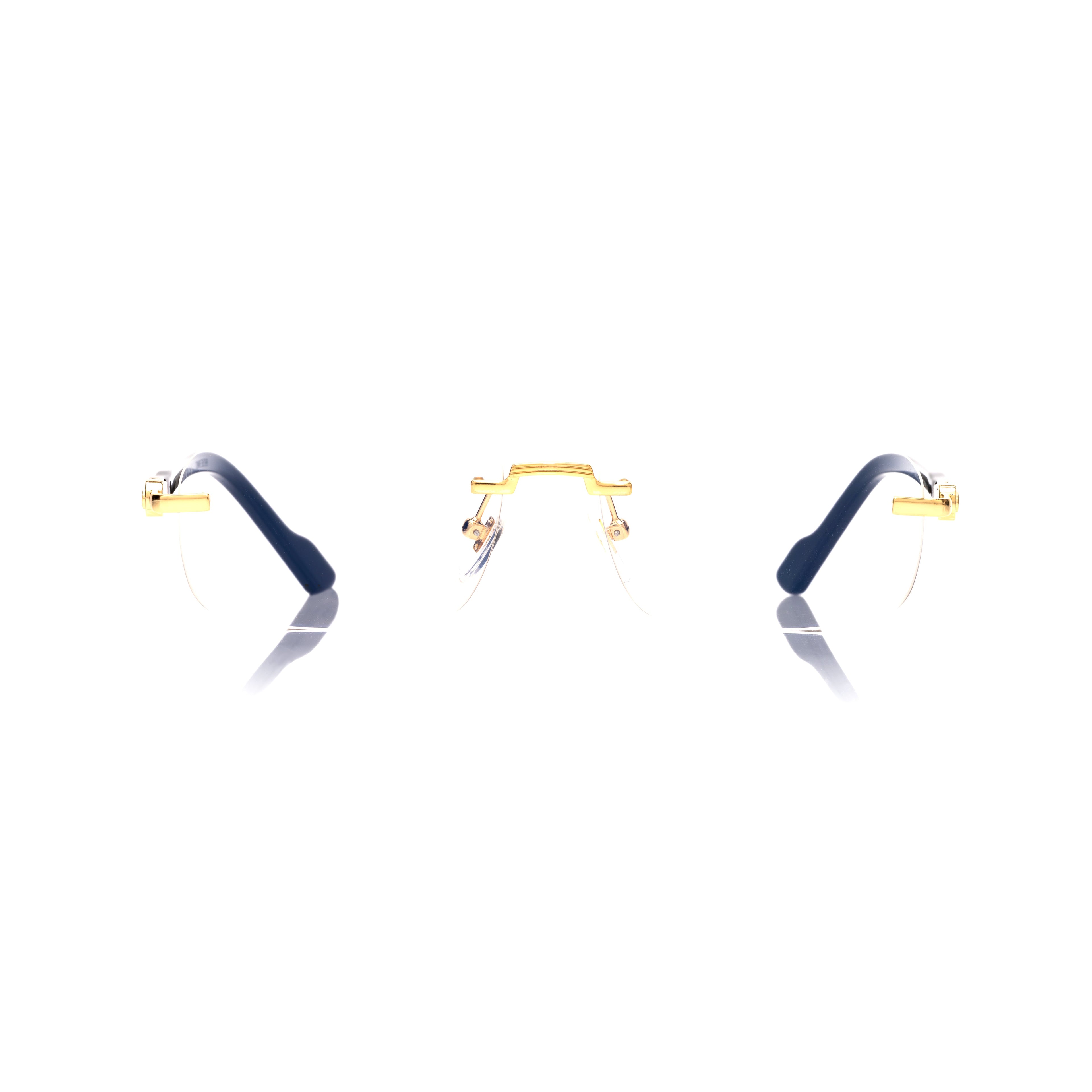 Lunettes Rectangle — Métal Doré & Branches Écaille