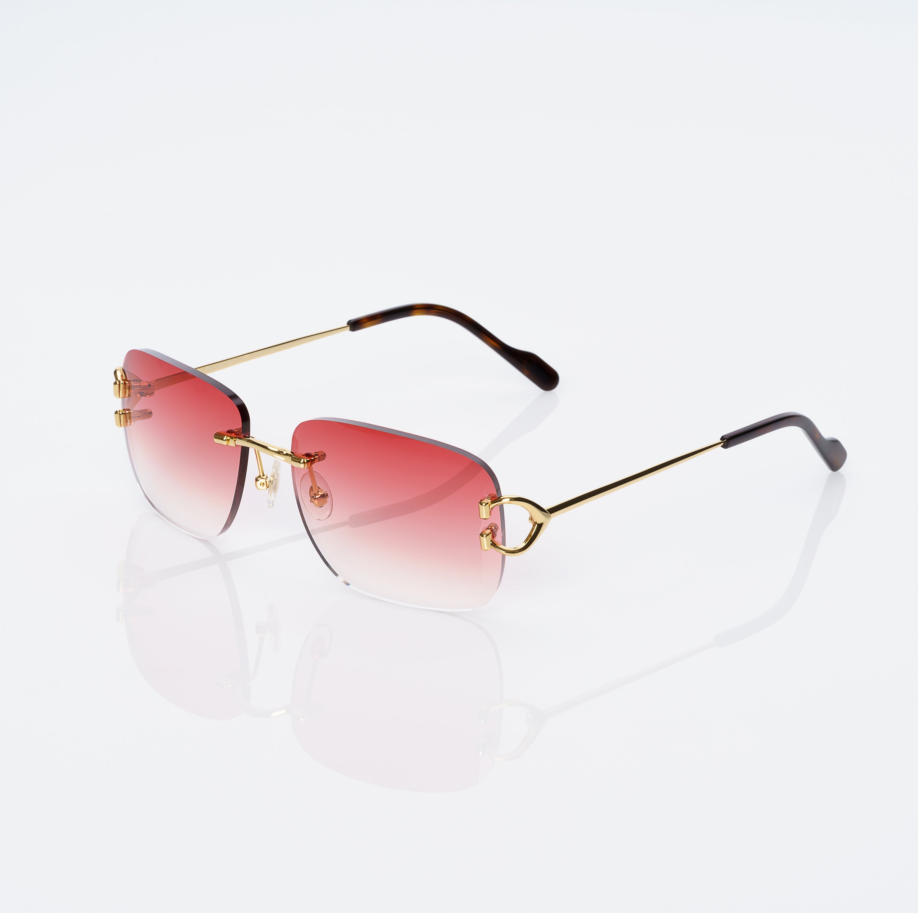 Lunettes Rectangle — Métal Doré & Embouts Écaille