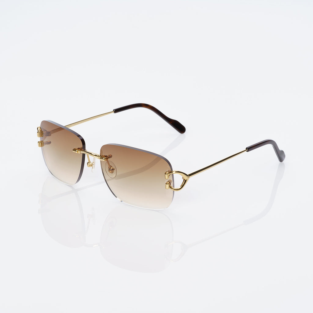 Lunettes Rectangle — Métal Doré & Embouts Écaille