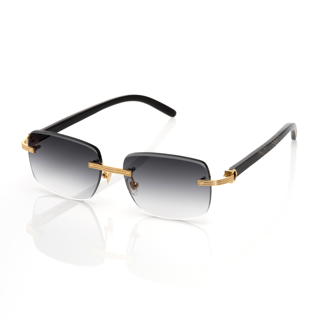 Lunettes Sans Cerclage — Métal Doré & Corne Bicolore