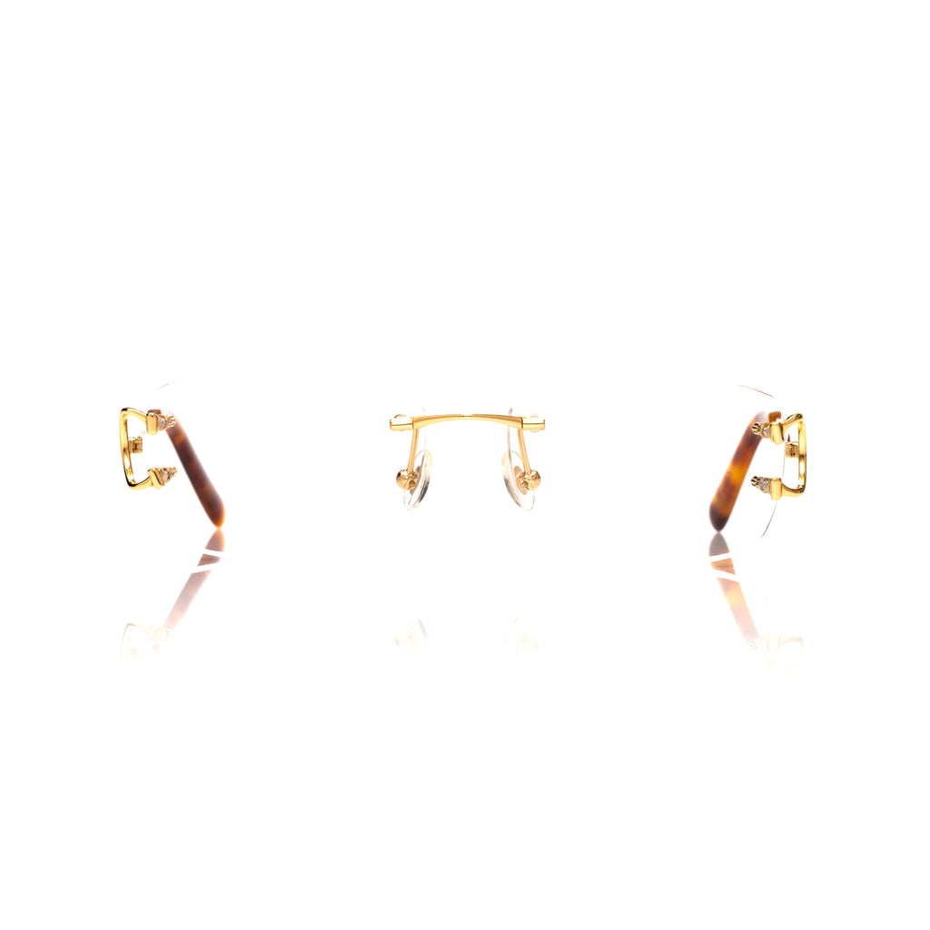 Lunettes Sans Cerclage — Métal Doré & Écaille · III