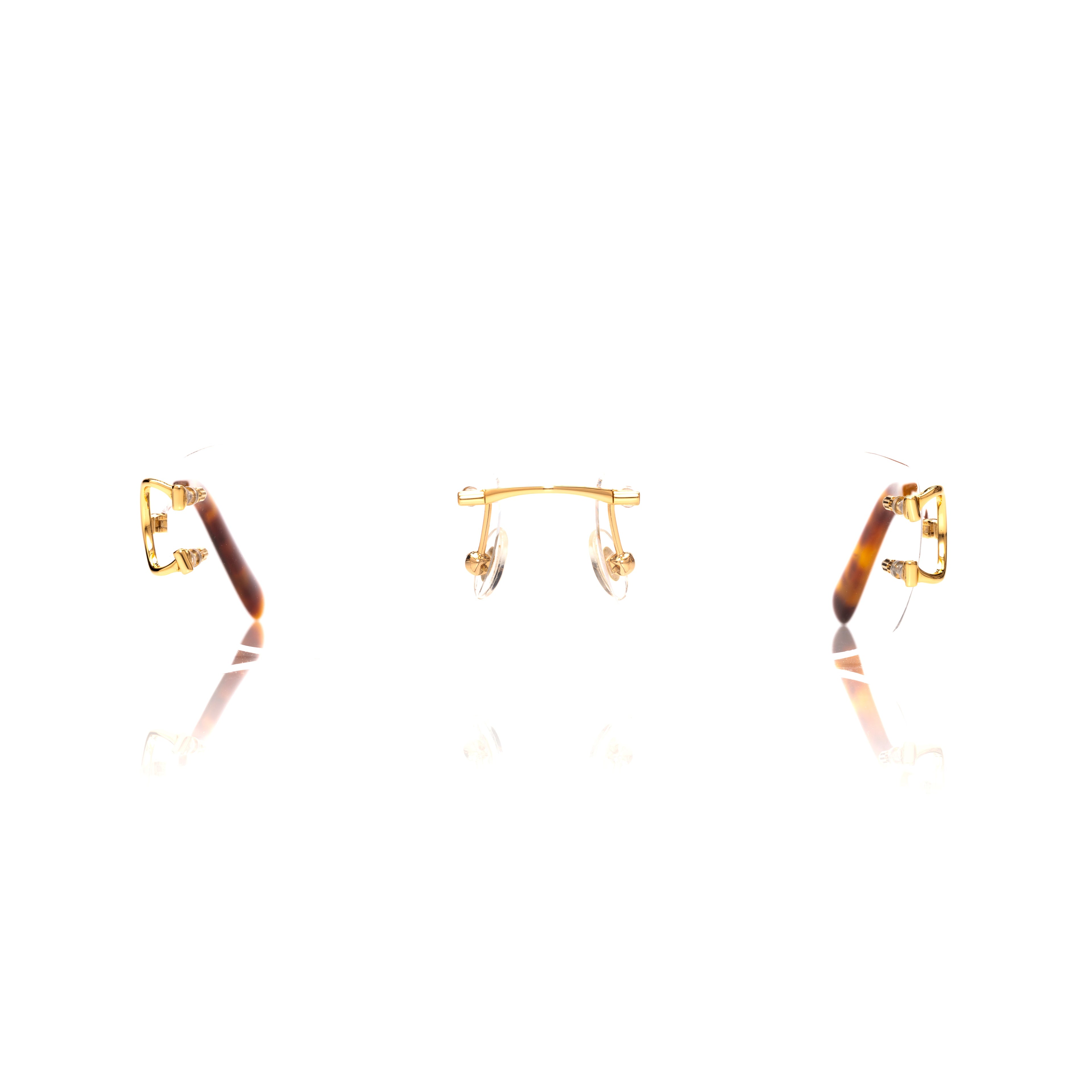 Lunettes Sans Cerclage — Métal Doré & Écaille · III
