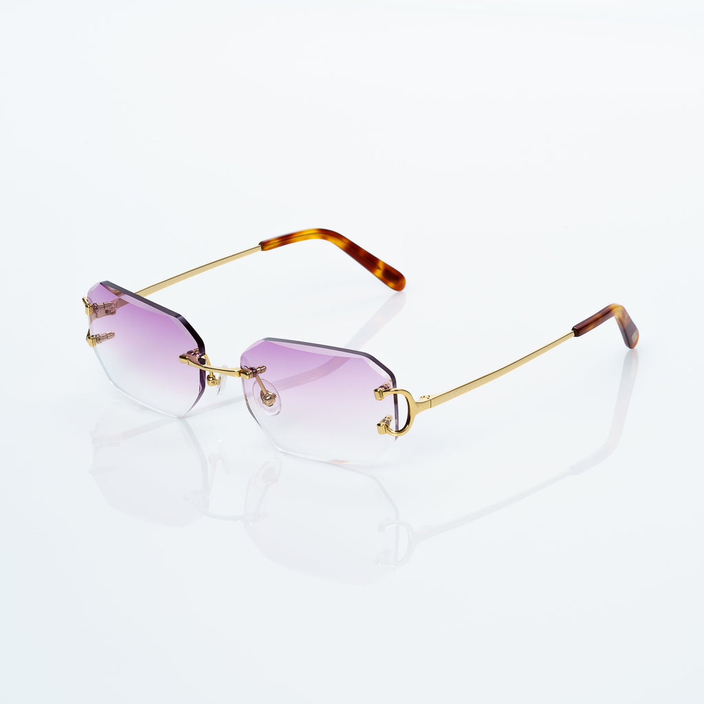 Lunettes Sans Cerclage — Métal Doré & Écaille · V