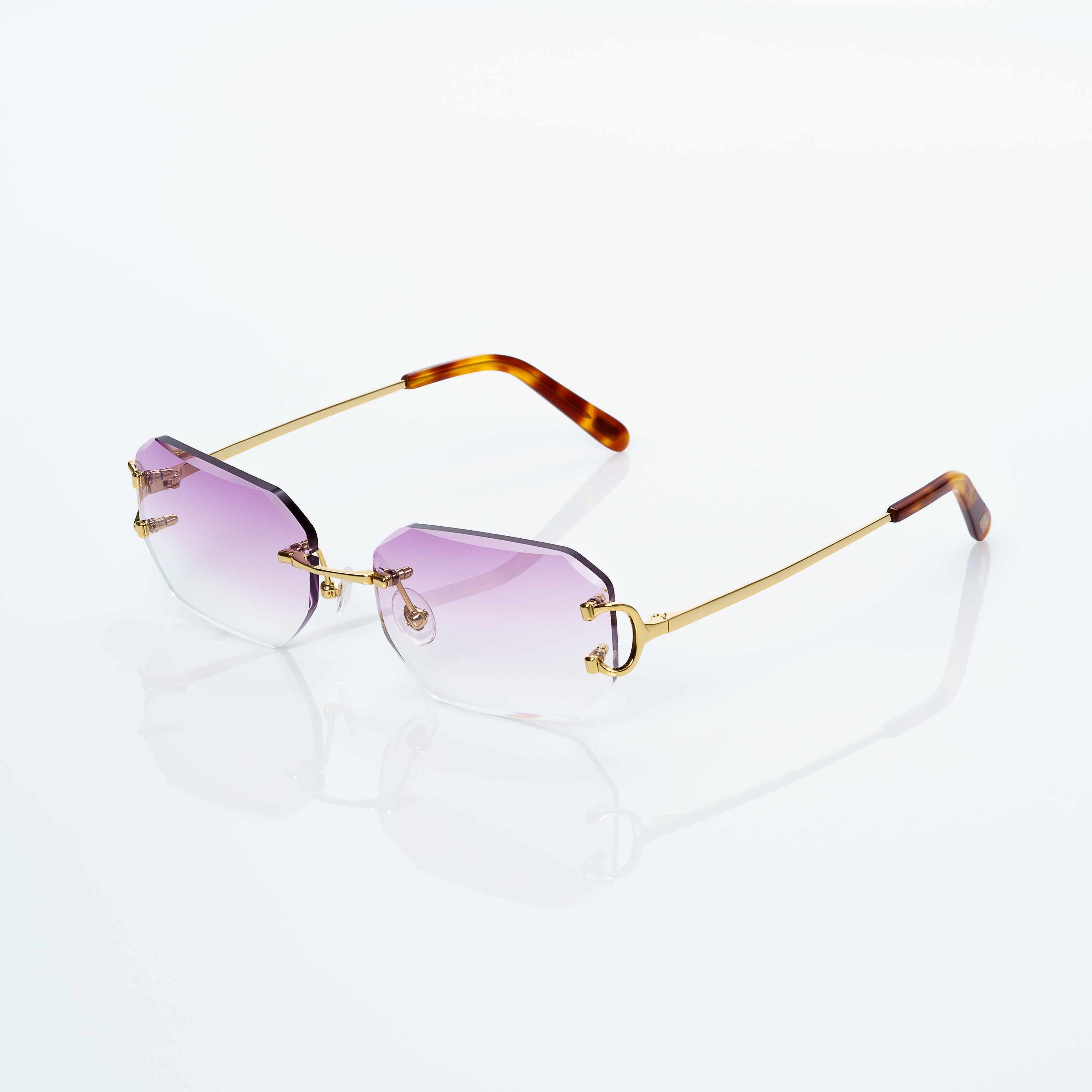 Lunettes Sans Cerclage — Métal Doré & Écaille · V