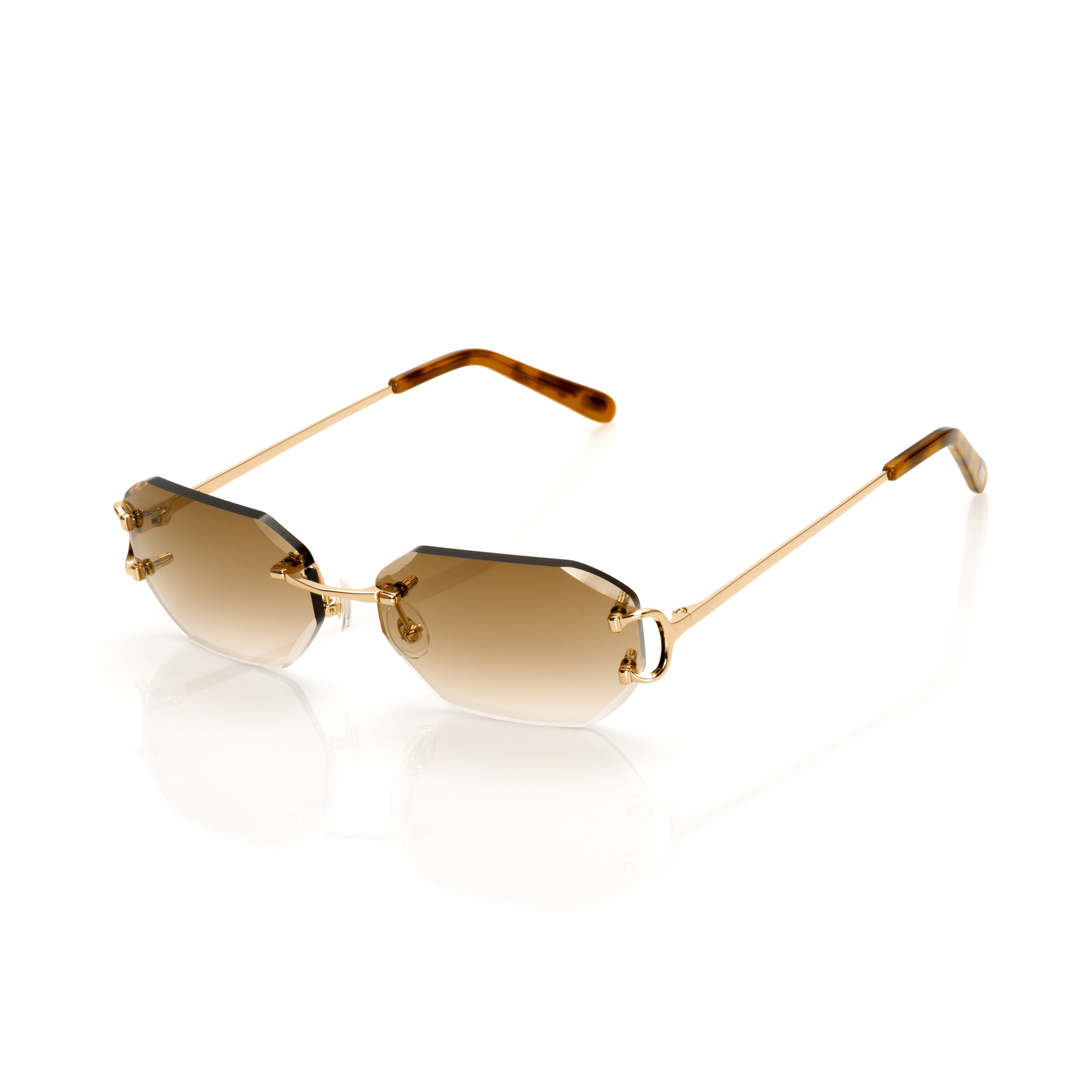 Lunettes Sans Cerclage — Métal Doré & Écaille · V
